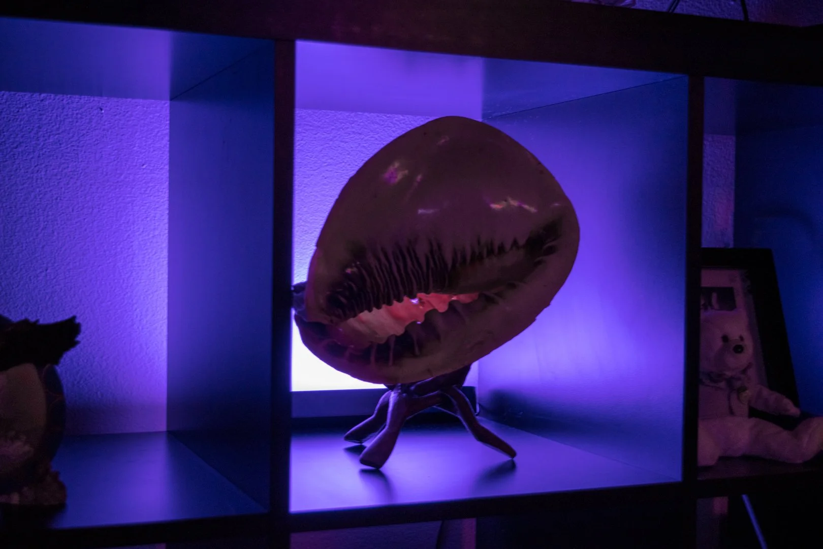 Philips hue play