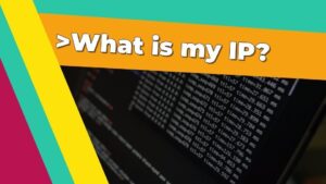 What is my IP? Most searched term on Google 2021? Crazy Interesting! | Smart Tech, Sharp Takes - CRYOVEX.com What is my ip? Most searched term on google 2021?