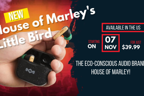 House of marley's little bird true wireless earbuds - an affordable, eco-conscious gift under $50 | house of marley little bird earbuds | review by cryovex