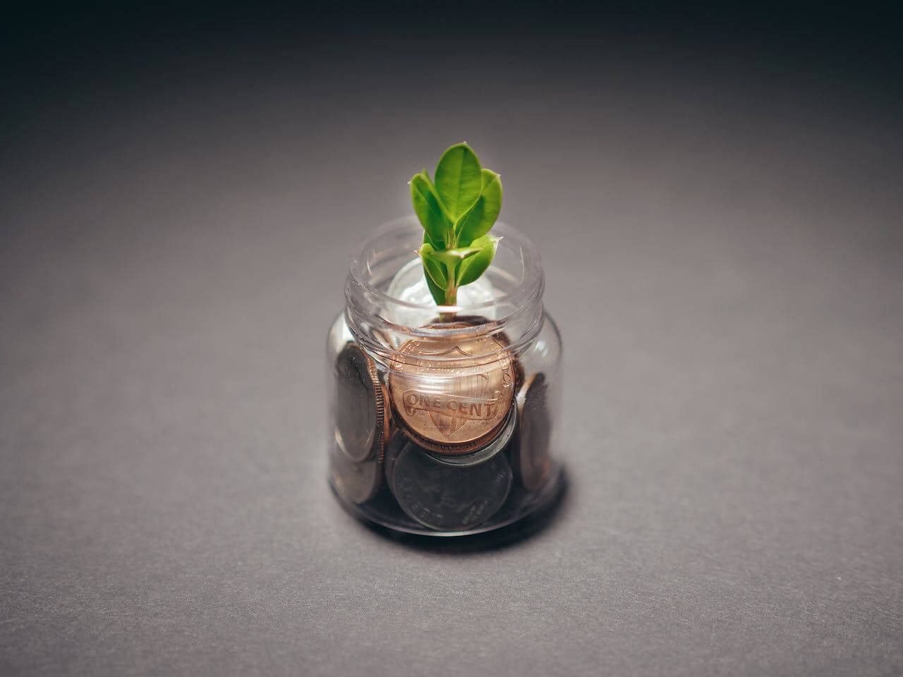Photo by Kindel Media: https://www.pexels.com/photo/plant-on-a-glass-bottle-with-coins-6774947/